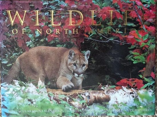 WILDLIFE OF NORTH AMERICA 9783829022149 COLLECTIEF, Livres, Langue | Anglais, Envoi
