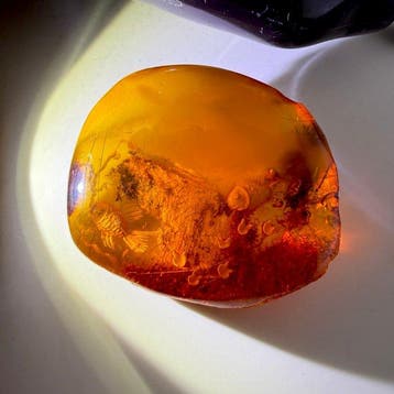 Broche - Gegraveerde natuurlijke hele steen Baltisch amber