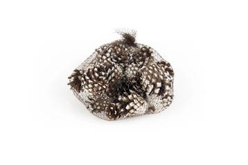 Dennenappel Silvester White Tip 250 gram, Hobby en Vrije tijd, Nieuw