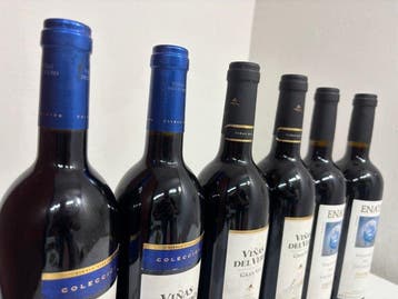 2003 (2x) Viñas del Vero Gran Vos Reserva, (2x) Colección, Nieuw