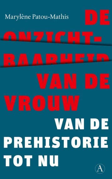 De onzichtbaarheid van de vrouw 9789025313456, Verzenden, Gelezen, Marylène Patou Mathis