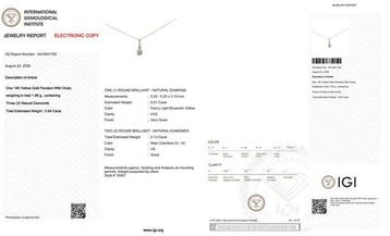 Zonder minimumprijs - Ketting met hanger - 14 karaat Geel