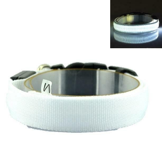 LED Halsband WIT, Animaux & Accessoires, Accessoires pour chiens, Envoi