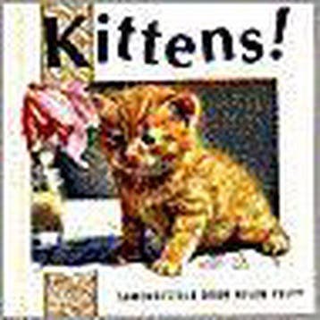 Kittens! - Brown, Verzenden