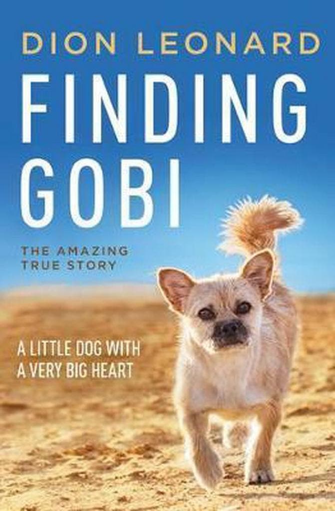 Finding Gobi 9780718098575 Dion Leonard, Livres, Langue | Anglais, Envoi
