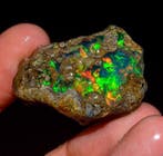 Opalo fuego AAA+ 36,5ct Ruw - Hoogte: 32 mm - Breedte: 21