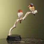 Zebra-IJsvogel Koppel Taxidermie Opgezette Dieren By Max, Ophalen of Verzenden, Opgezet dier
