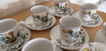Villeroy & Boch - Service à café (14) - Botanica - Vitro
