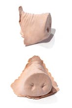 PXP Latex Varkensneus, Verzenden, Nieuw