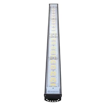Bilberry Grow High Power 650W, Verzenden, Nieuw