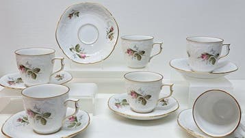 Rosenthal - Service à thé et café (12) - Moosrose -