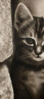 Yevhen Karpenko - Kid