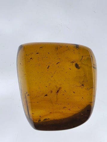 Ambre de Birmanie - Ambre - Natural Fossil Amber Lot (8)