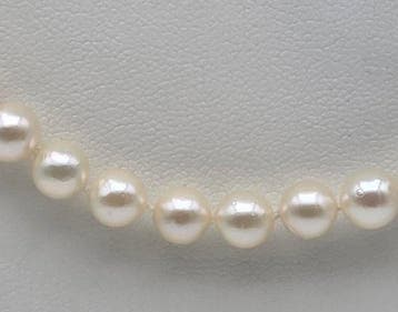 Sans prix de réserve - Collier - 18 carats Or jaune, Crème, Nieuw