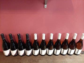 2020 x6 Bianco & 2020 x5 Rosso, Lavico, Duca di Salaparuta -, Nieuw