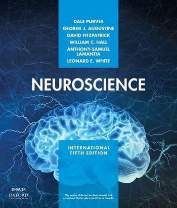 Neuroscience 9781605357416, Verzenden, Gelezen