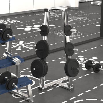 vidaXL Halterschijf 20 kg gietijzer, Sport en Fitness, Verzenden, Nieuw