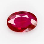Zonder minimumprijs - 1 pcs Rood, Roze Robijn - 0.65 ct -