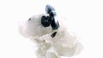 Tourmaline sur quartz flottant - Stak Nala, Monts Haramosh,, Verzamelen