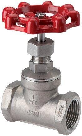 G 2 Robinet à soupape inox 16 bar, Verzenden, Nieuw