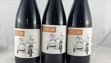 Sidecar Susana Esteban & Ricardo Diogo Edição 2018/19 tinto