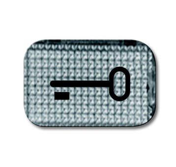 ABB Busch-Jaeger 2145 TR Key Symbol Transparent Lens -, Verzenden