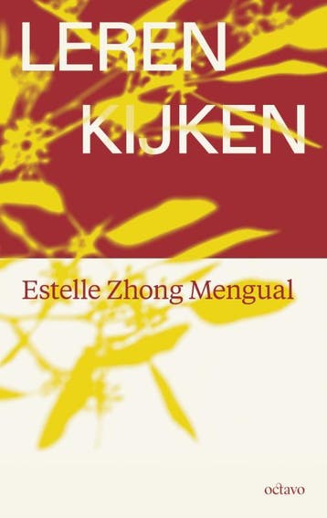 Leren Kijken | Estelle Zhong Mengual | Nieuw, Boeken, Verzenden, Nieuw, Estelle Zhong Mengual