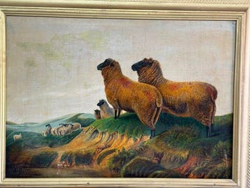 A. Beltrame (XX) - Animali al pascolo