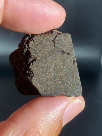 Chondrite carbonée (CO3) Nwa 15898 Sans prix de réserve!! -