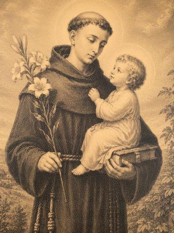 Sint-Antonius van Padua – De Heilige der Lelies – Druk op, Antiek en Kunst
