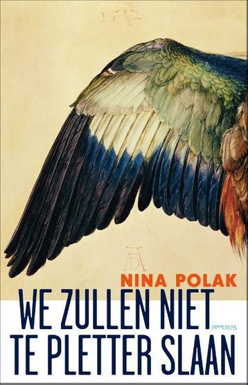 We zullen niet te pletter slaan 9789044621778 Nina Polak, Verzenden, Gelezen, Nina Polak