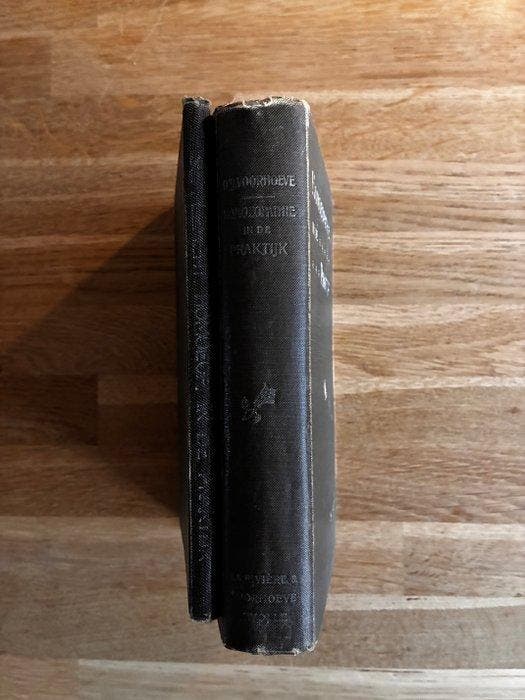 Dr. J. Voorhoeve - Homoeopathie in de Praktijk / Supplement, Antiek en Kunst, Antiek | Boeken en Manuscripten