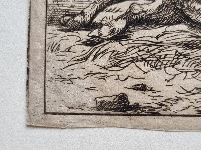 Du Jardin Karel (1622 Ca./ 1678) - filigrana I tre maiali, Antiek en Kunst, Antiek | Overige Antiek