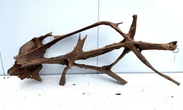 Osaka XL135 uniek aquarium decoratie hout  145x60x50 cm, Ophalen of Verzenden, Nieuw, Plant(en), Steen of Hout