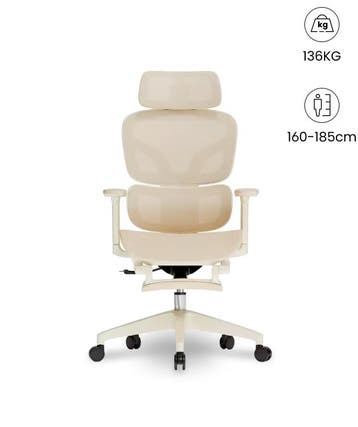 FLEXISPOT Ergonomische Mesh-bureaustoel, Abrikoos Kleuren (B, Verzenden, Nieuw