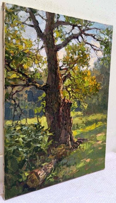 Sergei Flitov (1964) - Vieux Chêne sous le Soleil de, Antiquités & Art, Art | Peinture | Classique