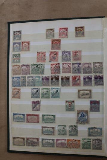 Hongarije en Polen 1875/2009 - Collectie in 2 stockboeken