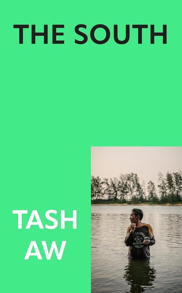 The south 9780008637613 Tash Aw, Boeken, Taal | Engels, Zo goed als nieuw, Verzenden