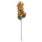 Pluim Hortensia Oranje Zijdenbloem 72 cm per stuk, Nieuw