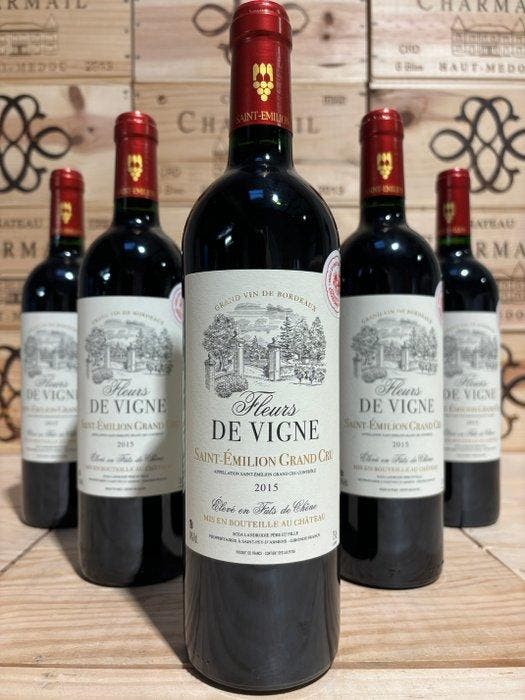 2015 Château La Fleur de Vigne - Saint-Émilion Grand Cru - 6, Verzamelen, Wijnen