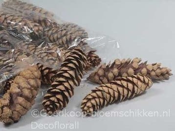 Dennenappel strobus grote naturel 20-25cm per stuk, Nieuw