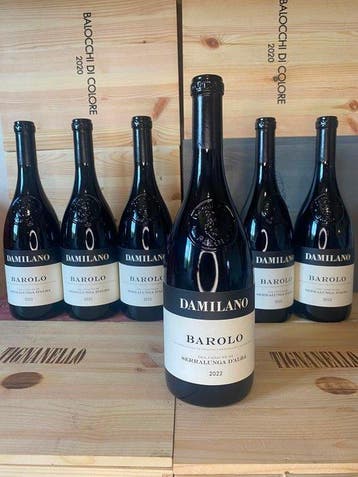 2022 Damilano, Barolo - Barolo DOCG - 6 Bouteilles (0,75 L), Nieuw
