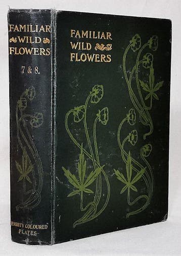 F. Edward Hulme - Familiar Wild Flowers (With 80 Coloured