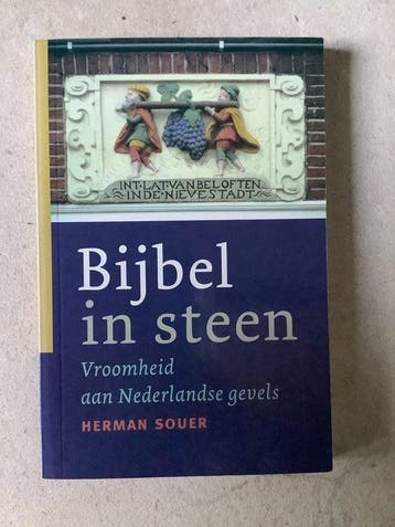 Bijbel In Steen - Souer, Boeken, Verzenden, Nieuw