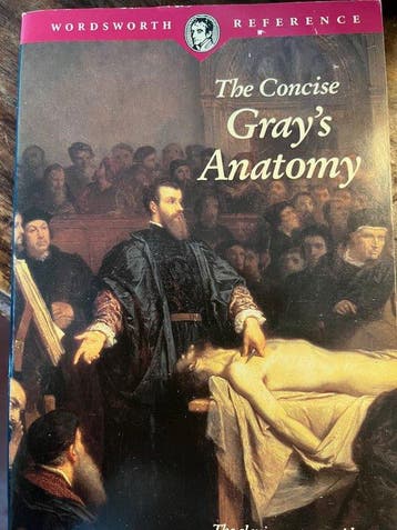 The Concise Grays Anatomy 9781853263941 C H Leonard, Livres, Verzenden, C H Leonard