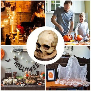 Limited Edition Skull Knife Holder – Gothic Horror Skeleton
