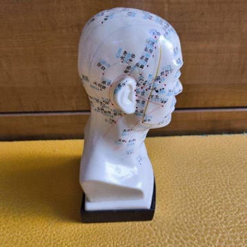 Matériel pédagogique - Acupuncture Head Model (XHM-202) –