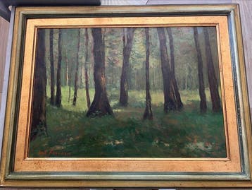 Enzo Finocchiaro (1912-1992) - Luci nel bosco