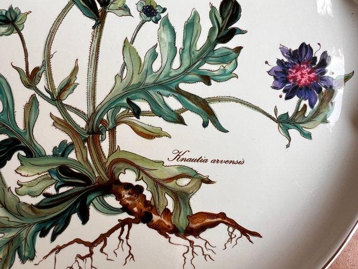 Villeroy & Boch - Tafelservies - Botanica - Porselein, Antiek en Kunst, Antiek | Meubels | Tafels
