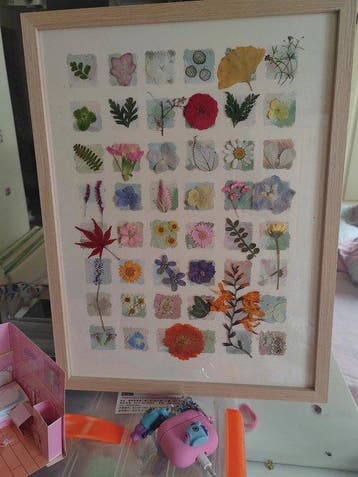 Verschillende planten Taxidermie volledige montage - Various